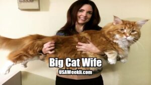 Big Cat Wife
