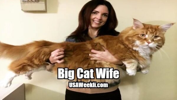 Big Cat Wife
