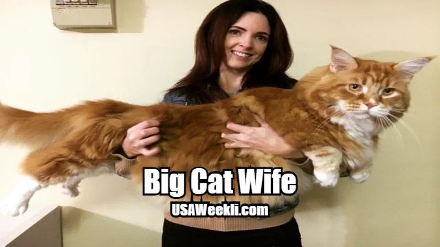 Big Cat Wife
